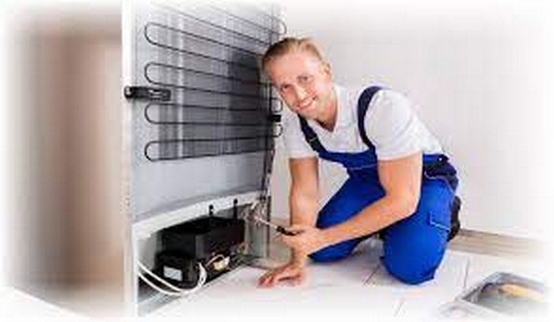 Trường hợp nào bạn nên thực hiện reset tủ lạnh Electrolux?